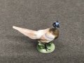 IMG_20260716_164647