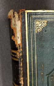 bibel-in-bildern-j-schnorr-von-carolsfeld.13