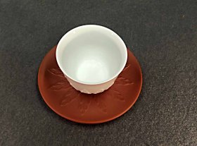 IMG_20240528_165501