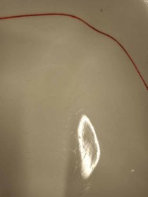 IMG_20241113_143809