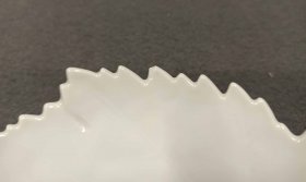 IMG_20250117_144641
