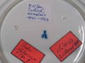 IMG_20250513_163244