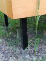 IMG_20250623_173808