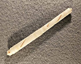 IMG_20260625_164919